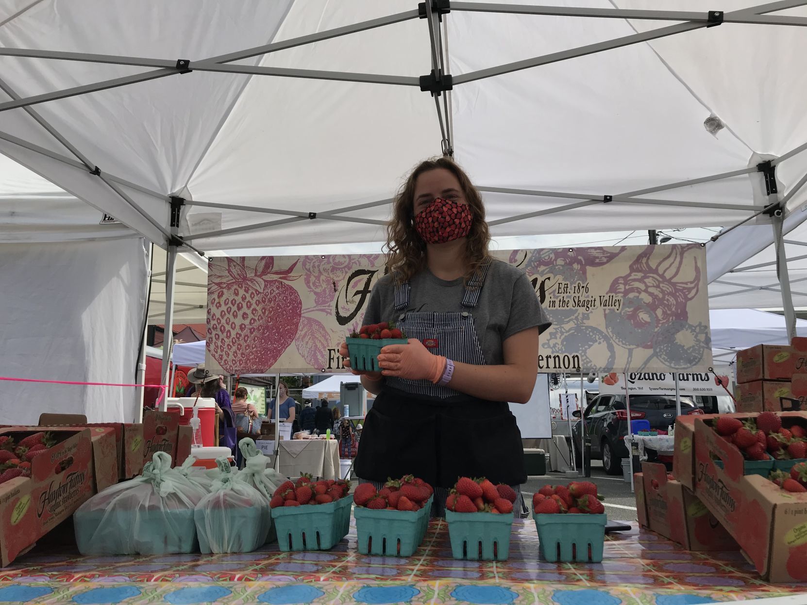 Farmers Market Strawberry mask, 6.5.20